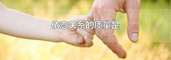 依恋关系的质量是