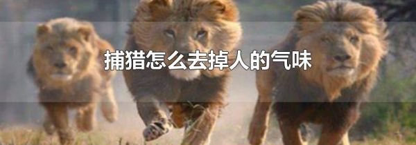 捕猎怎么去掉人的气味