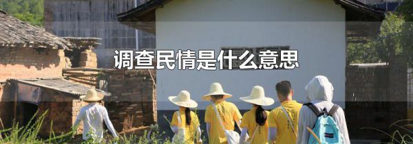 调查民情是什么意思