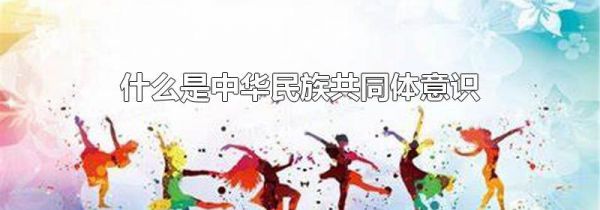 什么是中华民族共同体意识