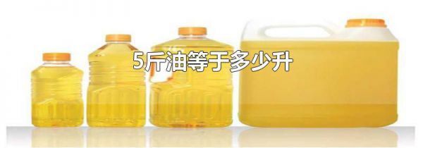 5斤油等于多少升