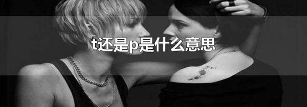 t还是p是什么意思