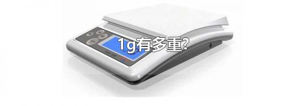 1g有多重?
