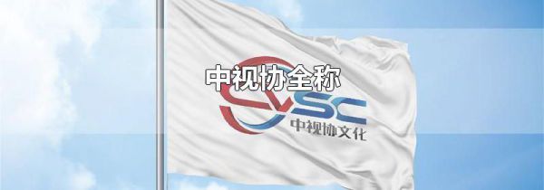 中视协全称