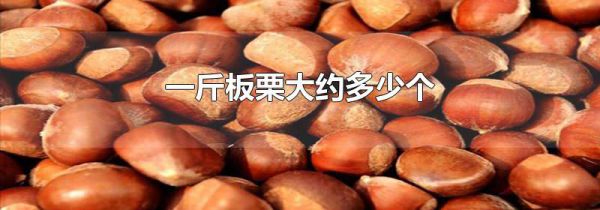 一斤板栗大约多少个