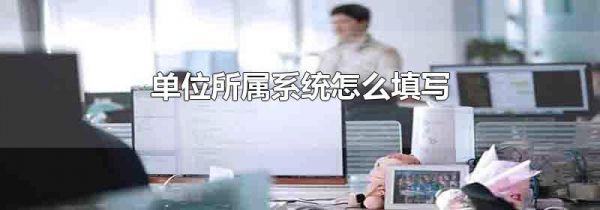 单位所属系统怎么填写