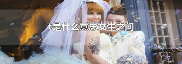 t是什么意思女生之间