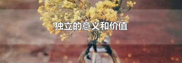 独立的意义和价值