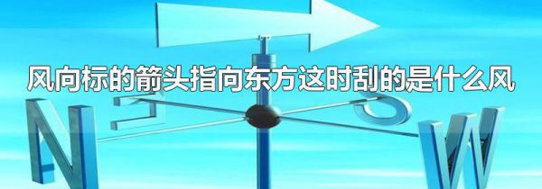 风向标的箭头指向东方这时刮的是什么风