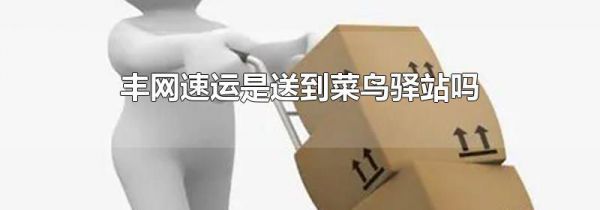 丰网速运是送到菜鸟驿站吗