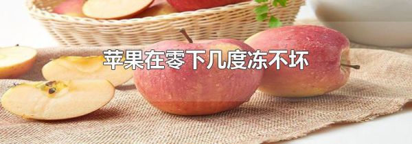 苹果在零下几度冻不坏