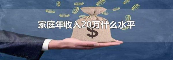 家庭年收入20万什么水平