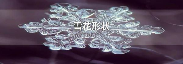 雪花形状