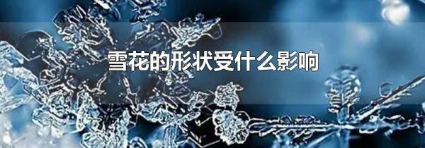 雪花的形状受什么影响