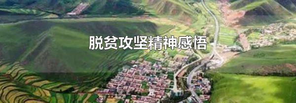 脱贫攻坚精神感悟