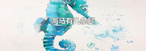 海马有几条腿