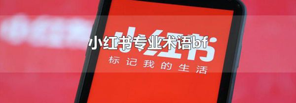 小红书专业术语bf