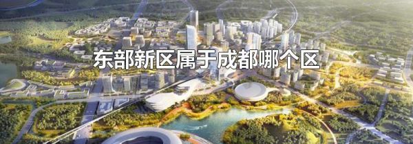 东部新区属于成都哪个区