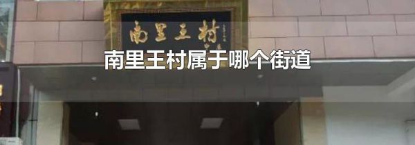 南里王村属于哪个街道