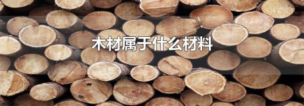 木材属于什么材料