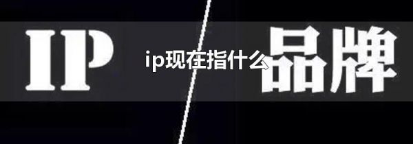 ip现在指什么