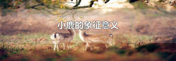 小鹿的象征意义