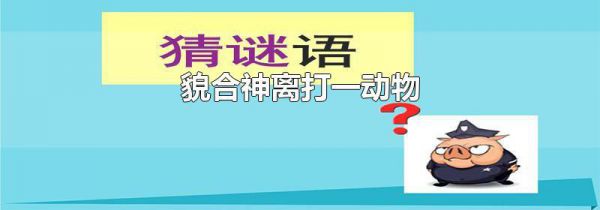 貌合神离打一动物