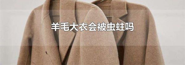 羊毛大衣会被虫蛀吗