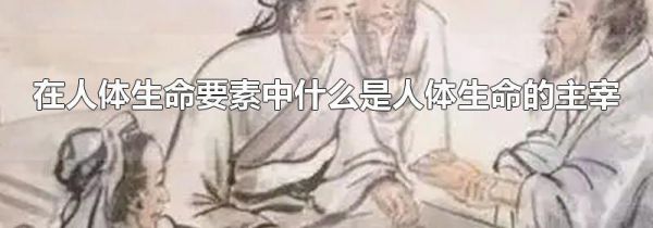 在人体生命要素中什么是人体生命的主宰