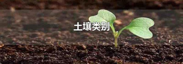 土壤类别