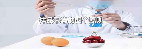 样品采集的四个原则
