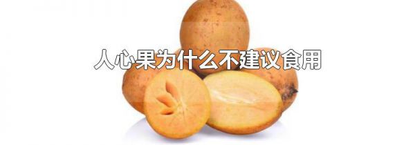 人心果为什么不建议食用