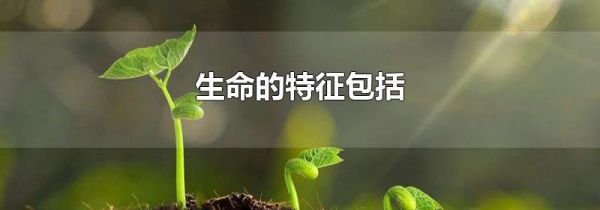 生命的特征包括
