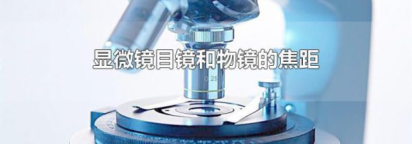 显微镜目镜和物镜的焦距
