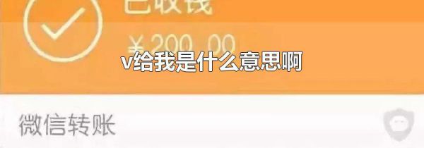 v给我是什么意思啊