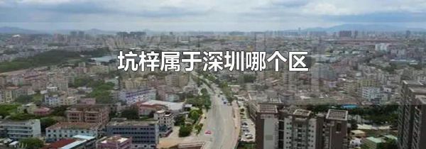 坑梓属于深圳哪个区