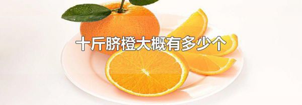 十斤脐橙大概有多少个