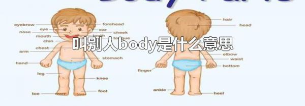 叫别人body是什么意思