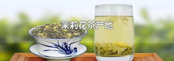 茉莉花茶产地