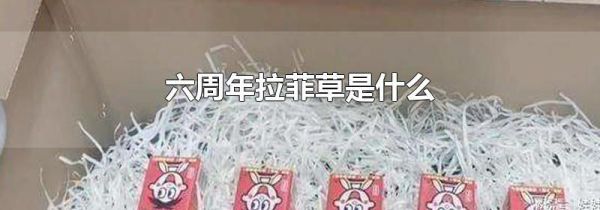 六周年拉菲草是什么