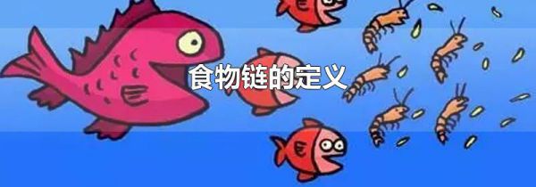 食物链的定义