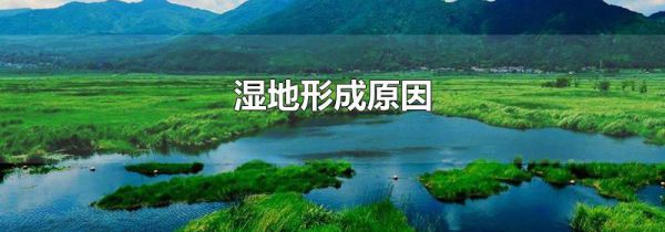 湿地形成原因
