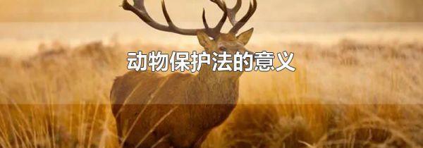 动物保护法的意义