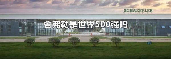 舍弗勒是世界500强吗
