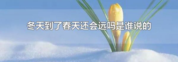 冬天到了春天还会远吗是谁说的