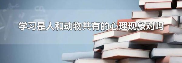 学习是人和动物共有的心理现象对吗
