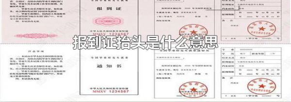 报到证抬头是什么意思