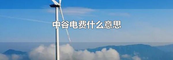 中谷电费什么意思