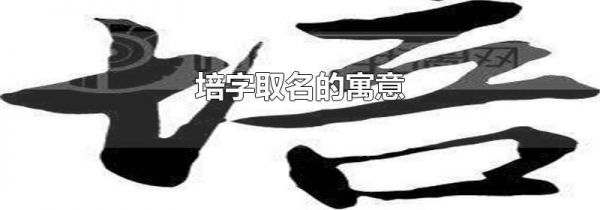 培字取名的寓意