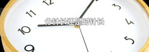 分针长还是时针长